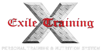 exile logo11